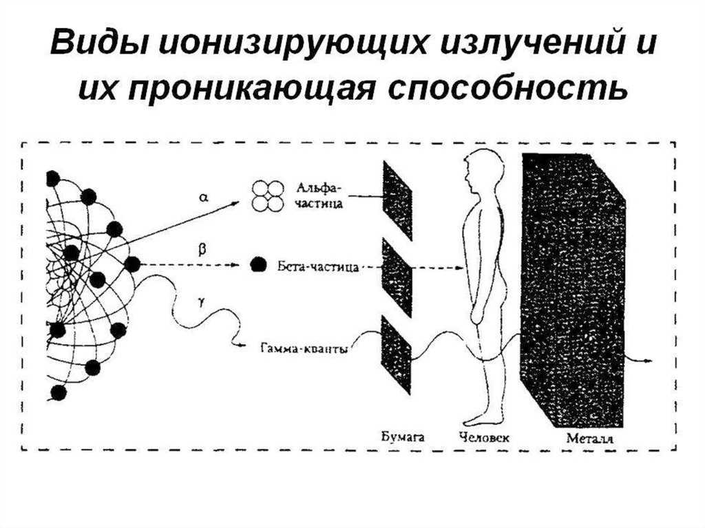 Определение, содержание и удельная активность радионуклидов