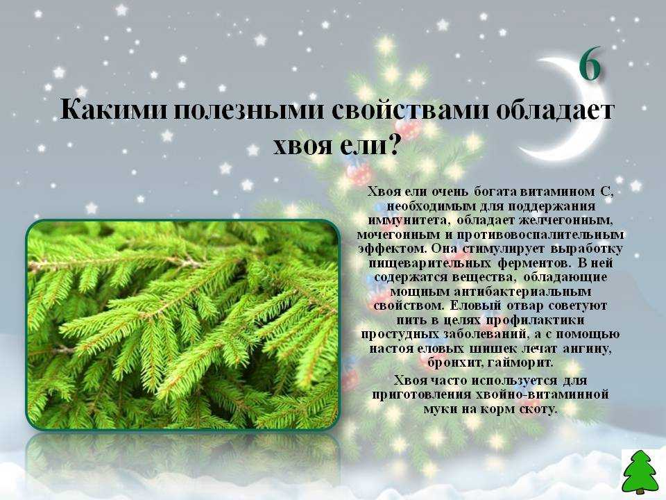Химические свойства древесины