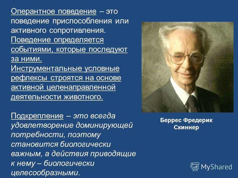 Виды и теории научения. формирование навыков и умений — обучение как базовая категория теории обучения