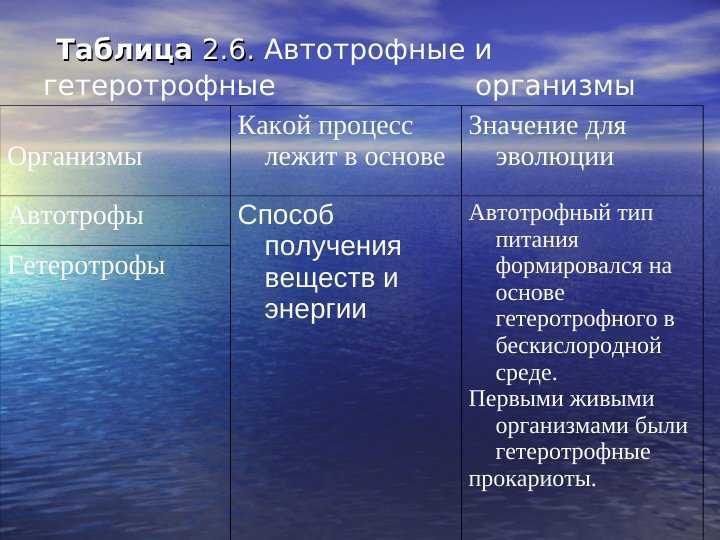 Автотрофы и гетеротрофы - классификация, условия и источники питания